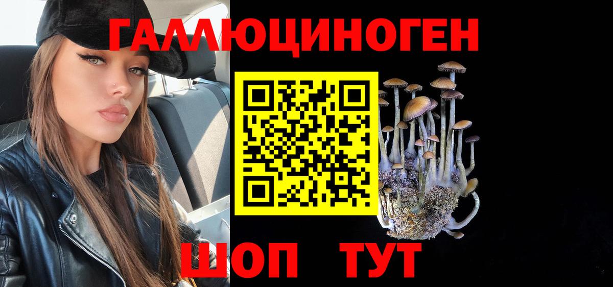 Белореченск  Псилоцибиновые грибы ЛСД  Псилоцибиновые грибы GOLDEN TEACHER  Вход с VPN 
